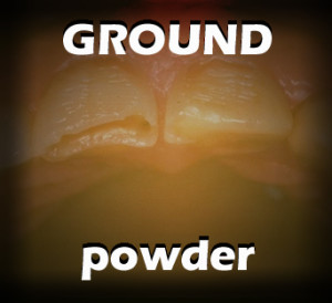 powder_new